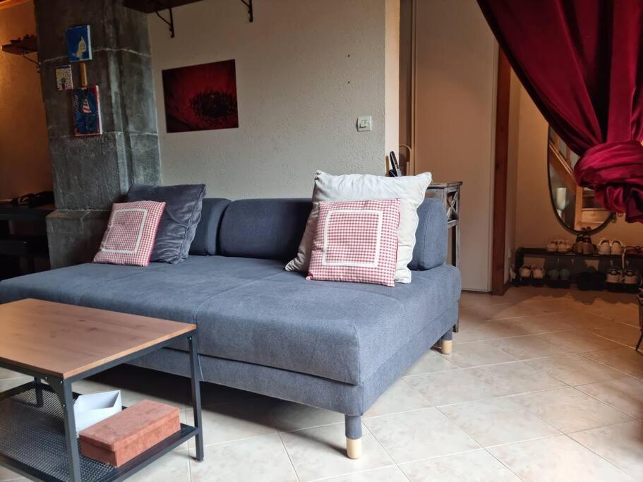Chateau D'Uriage - Duplex Avec Terrasse Privative Saint-Martin-dʼUriage エクステリア 写真